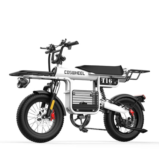 T16  1000W 48V 20AH Fat Tire Electric bike