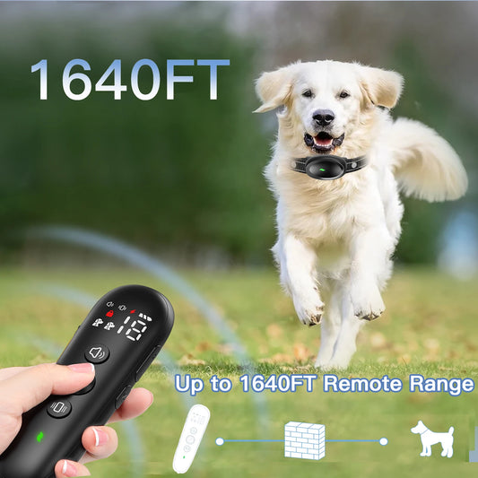 Medium Dog Shock Collar With Remote