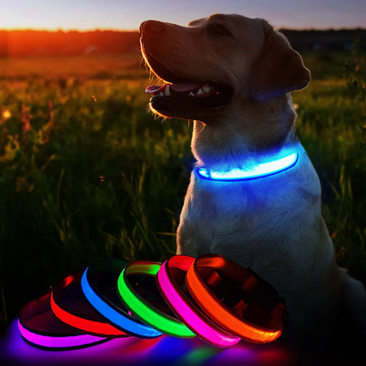 LED Dog Collar Luminous Pet Supplies Dog Collar