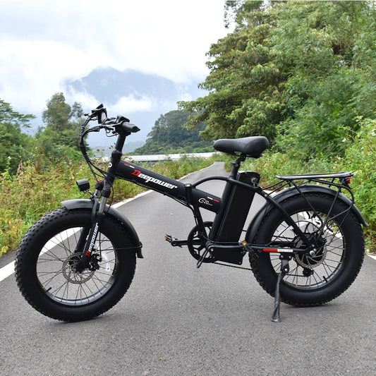 G20 Electric Bicycle 48V 1000W 25AH Fat Tire